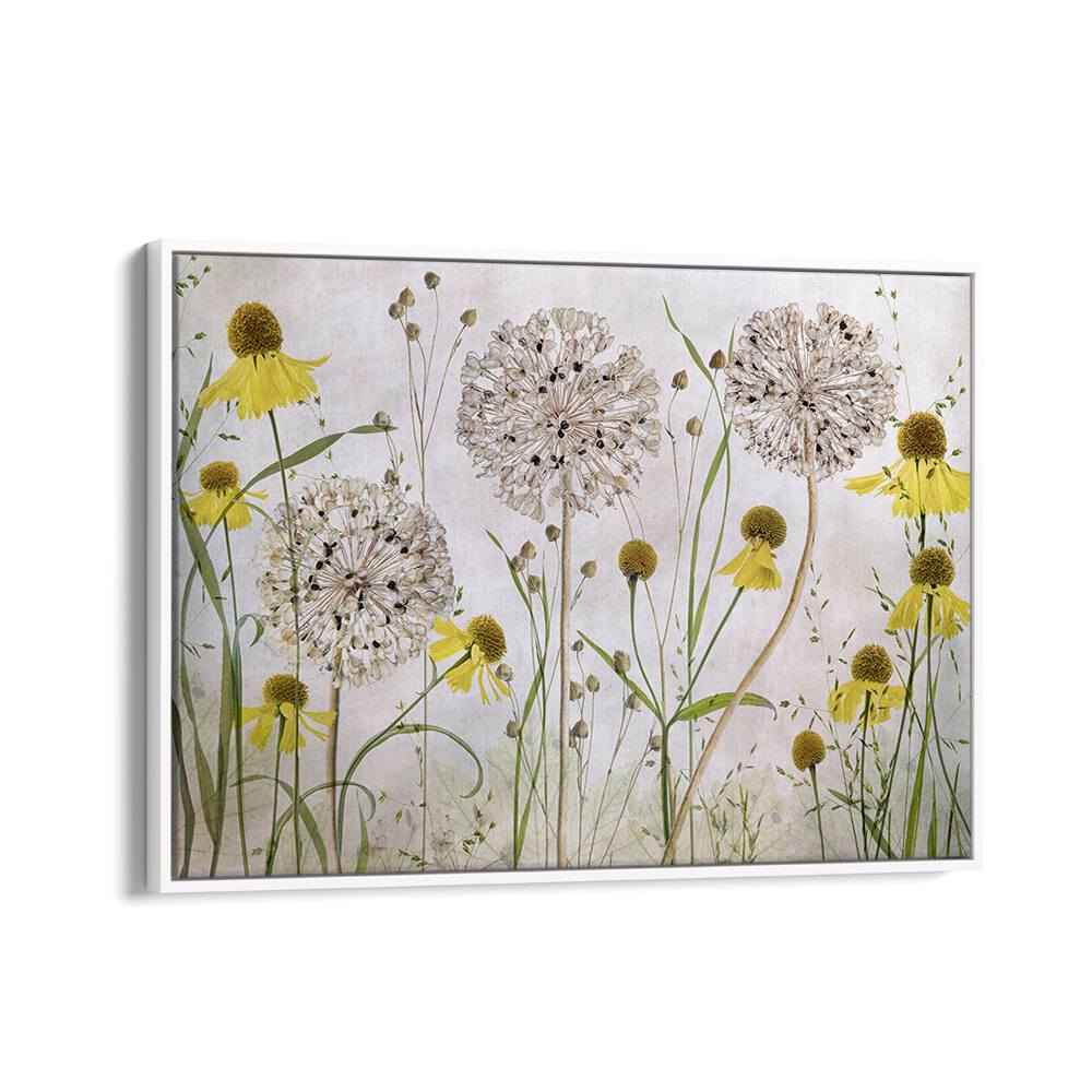Vibrant ALLIUMS AND HELENIUMS, FLORAL FLOWER PAINTINGS bring color and beauty to any space or arrangement.