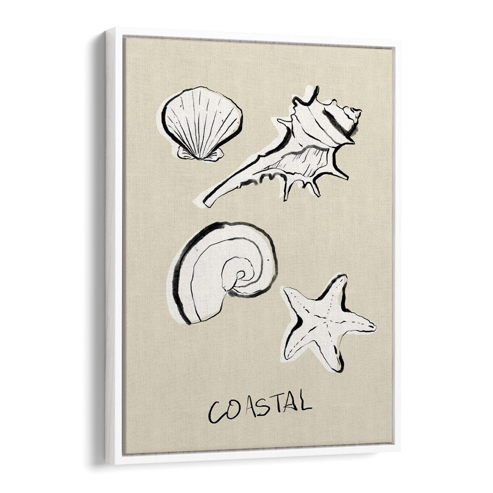 COASTAL SHELLS AND STARFISH