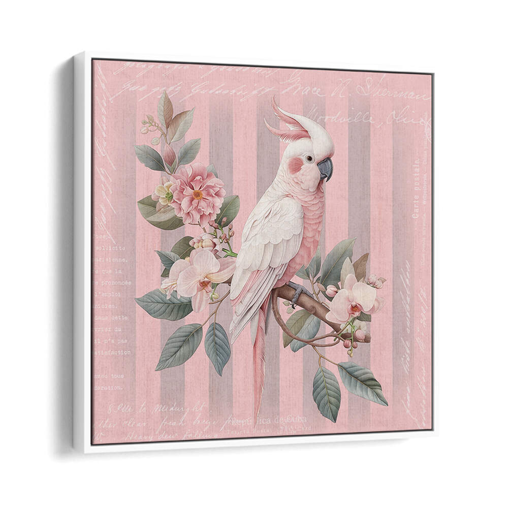 COCKATOO PASTEL PINK , ANIMAL PAINTINGS