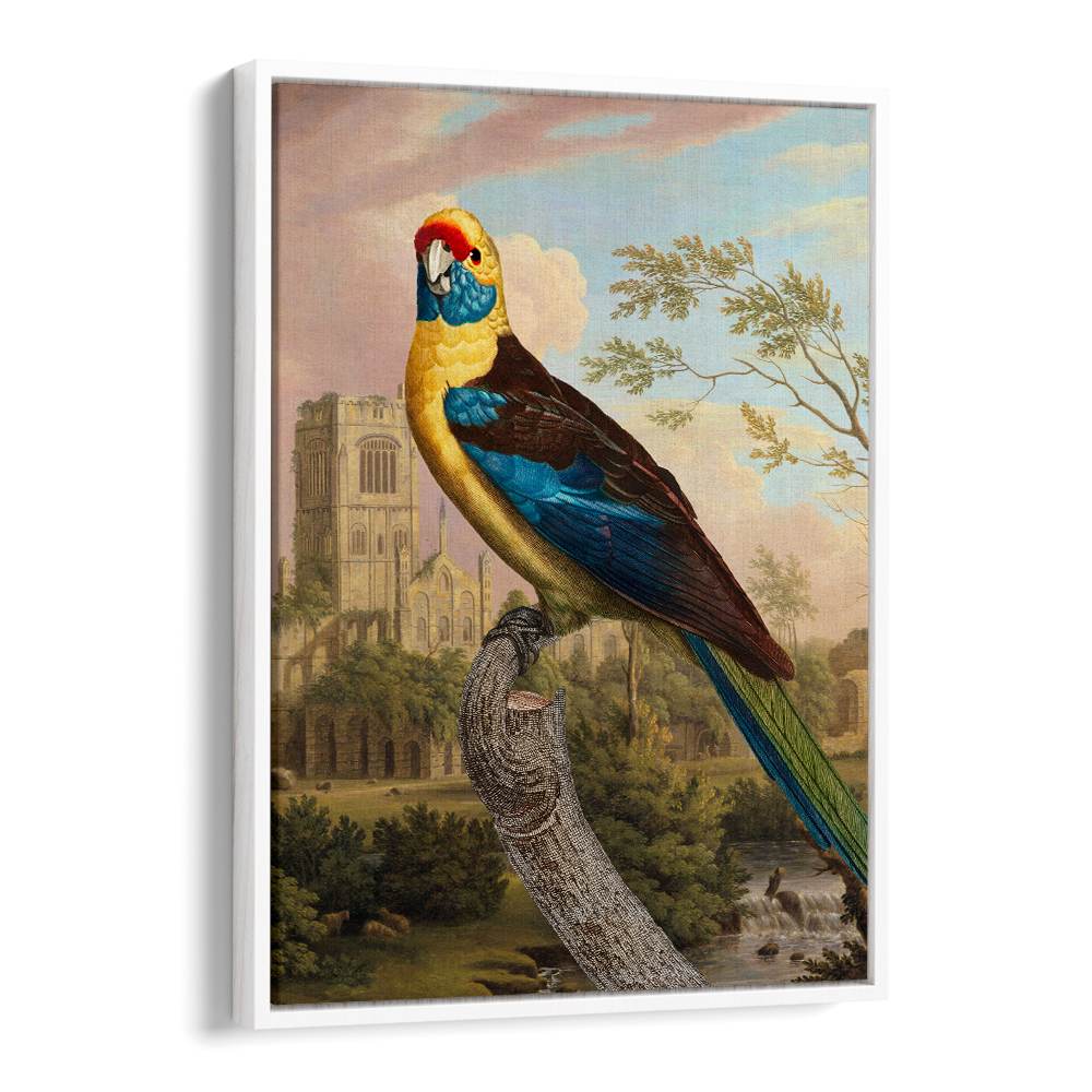 COLORFUL PARROT RUINS