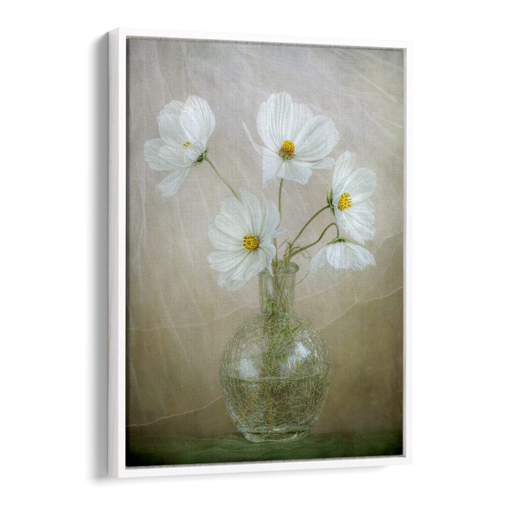 Elegant COSMOS BREEZE, FLORAL FLOWER PAINTINGS showcasing delicate white flowers in a stylish glass vase. Perfect decor!