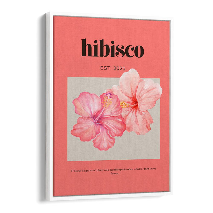 DELICATE PINK HIBISCUS