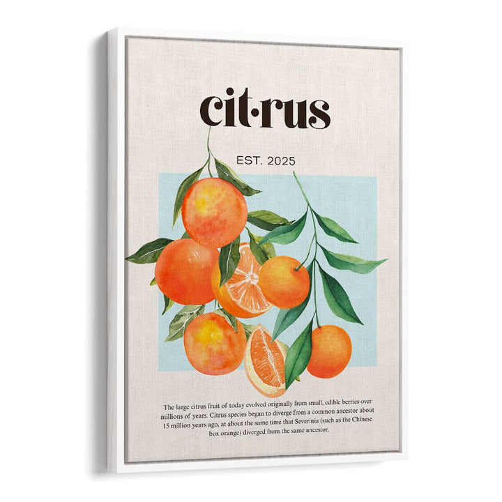 FRESH WATERCOLOR CITRUS