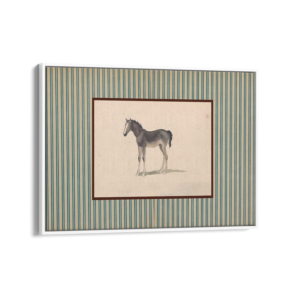 GENTLE FOAL PORTRAIT