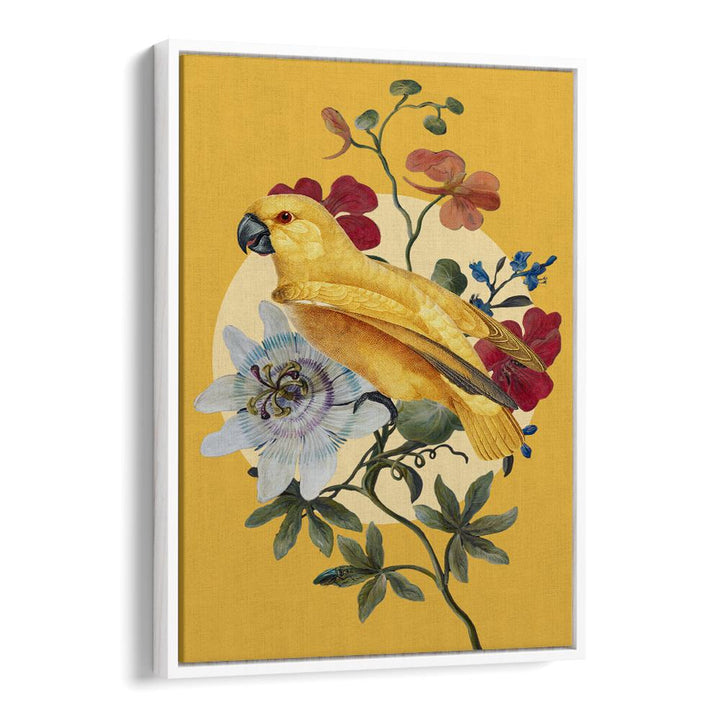 GOLDEN PARROT PASSION FLOWER