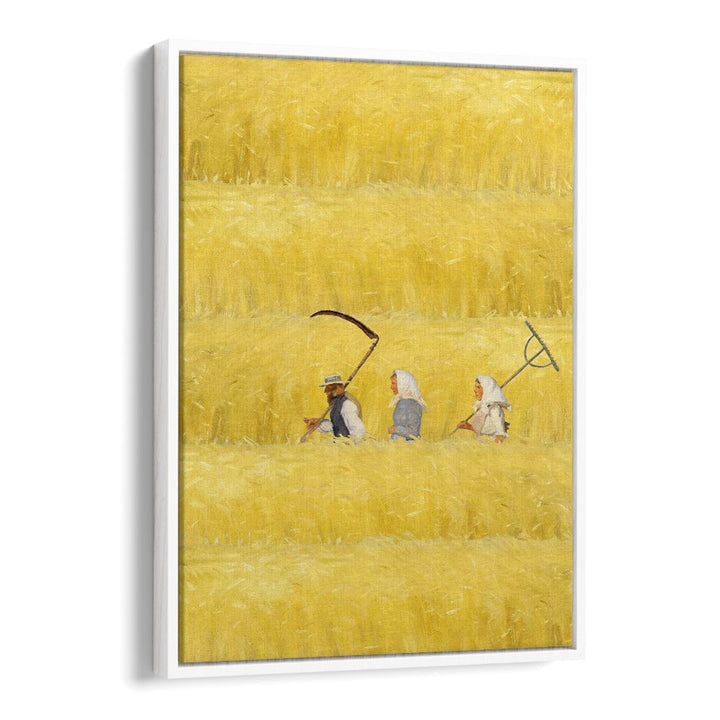 HARVESTING THE GOLDEN FIELD
