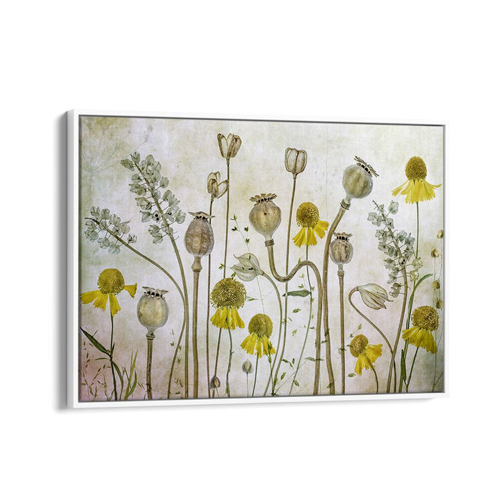 Vibrant POPPIES AND HELENIUM, FLORAL FLOWER PAINTINGS transforming your space with beauty and color. Perfect for decor!