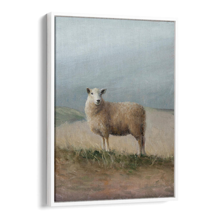 SHEEP STUDY