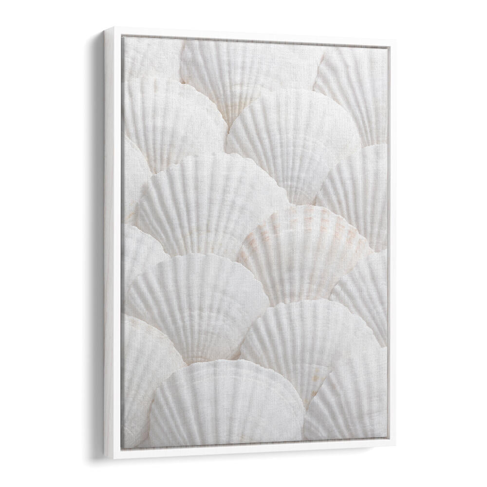 SHELLS III, BEACH PAINTINGS display serene white shells, perfect for adding coastal charm to your home decor.