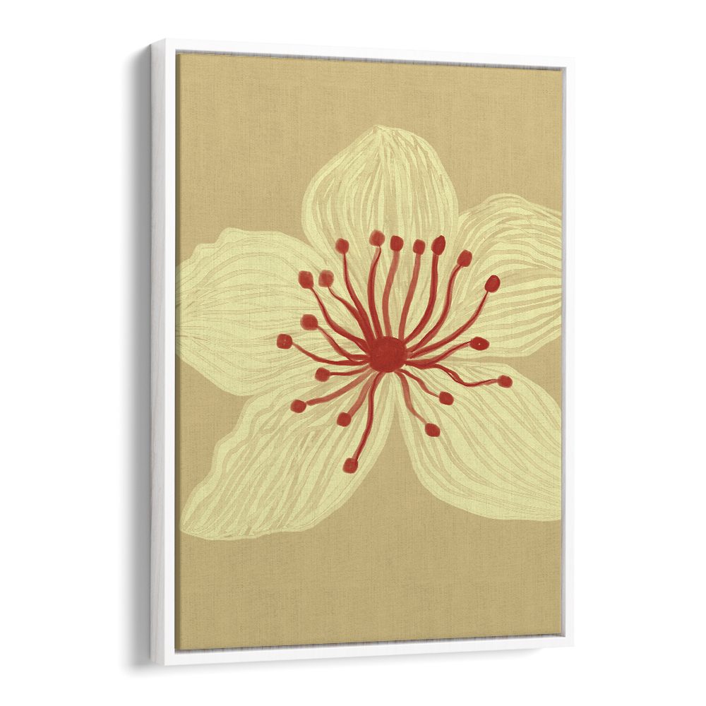 SOFT CREAM BLOSSOM