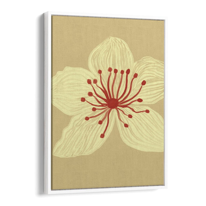 SOFT CREAM BLOSSOM
