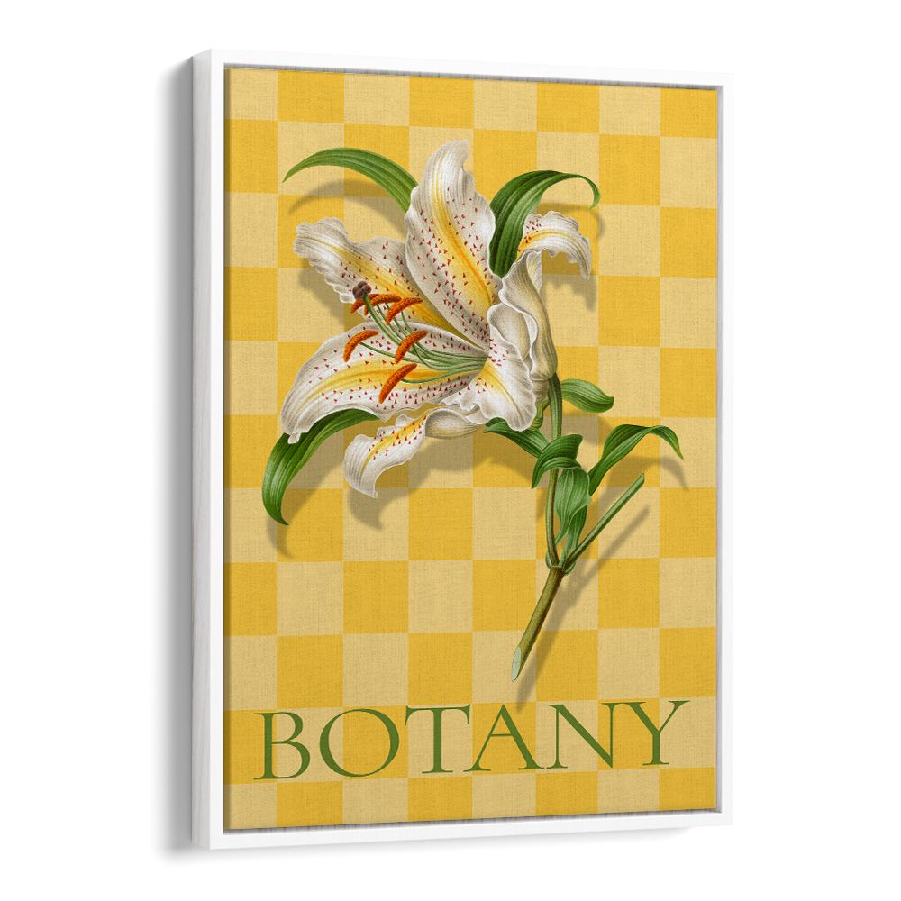 SPOTTED LILY BOTANICAL