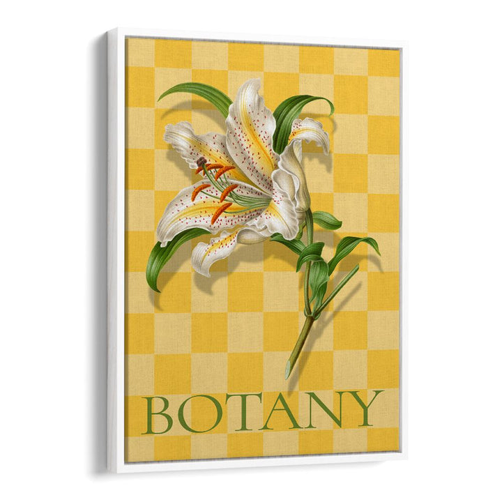 SPOTTED LILY BOTANICAL