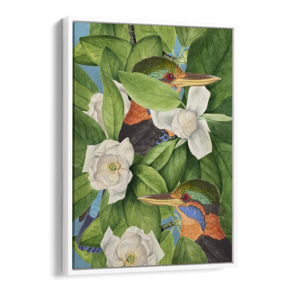 TROPICAL KINGFISHERS MAGNOLIAS