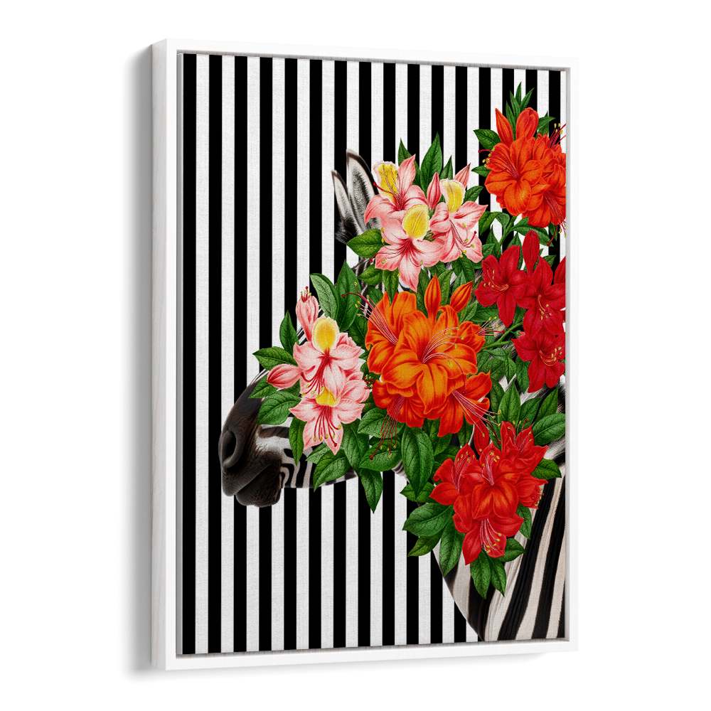 TROPICAL ZEBRA BLOOM