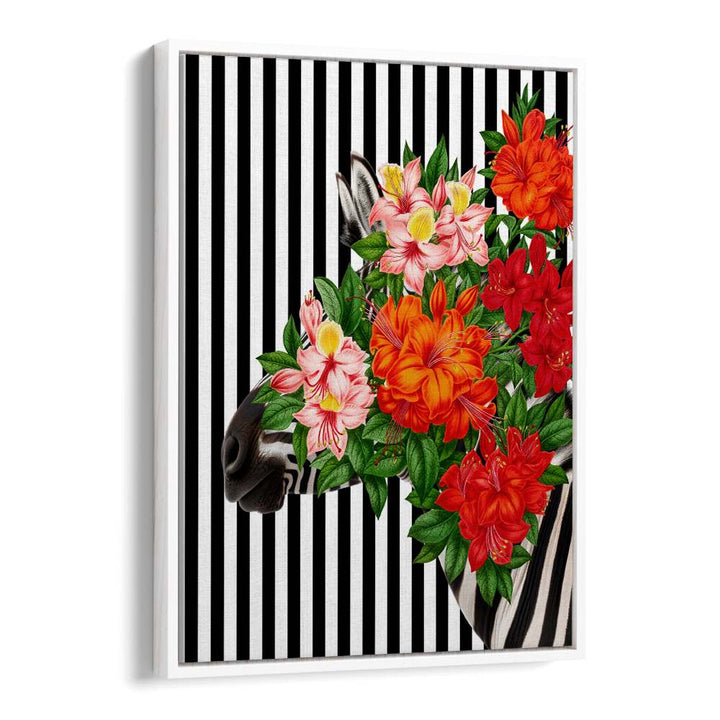 TROPICAL ZEBRA BLOOM