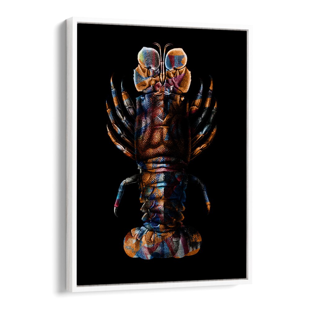 VIBRANT SPINY LOBSTER