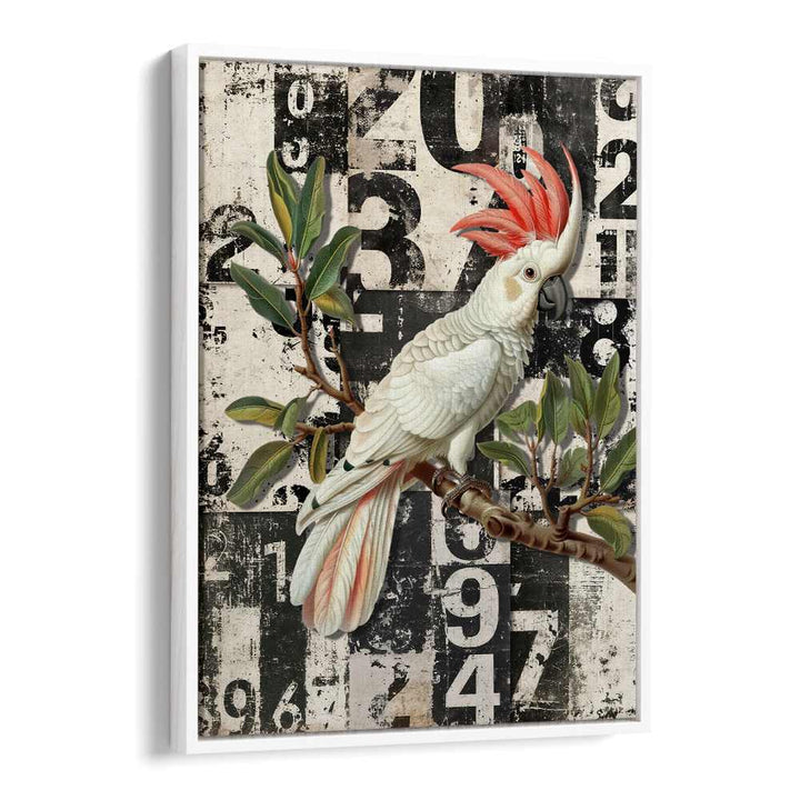 WHITE COCKATOO GRUNGE NUMBERS
