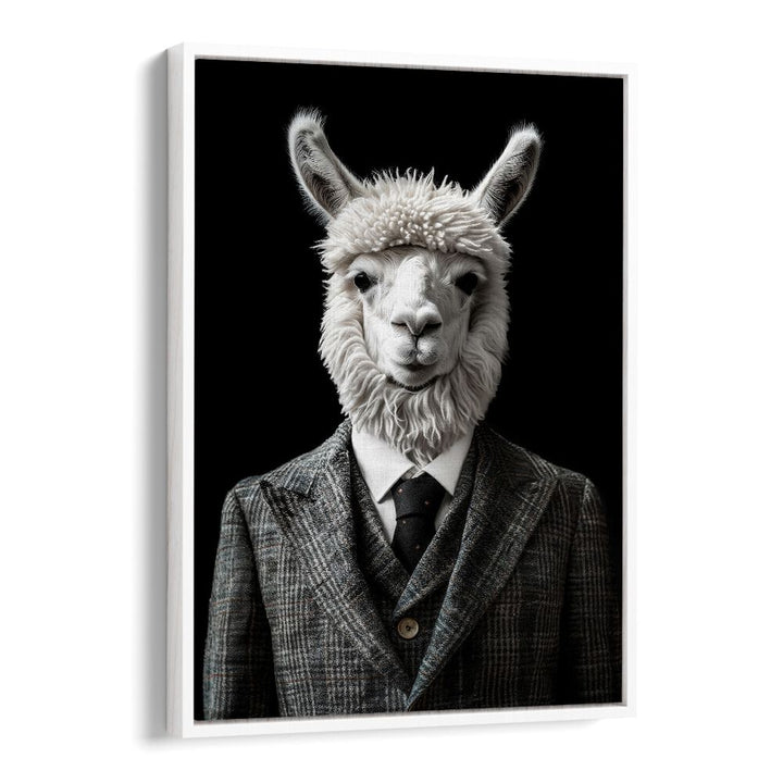 WILD SUITS - ALPACA , ANIMAL PAINTINGS