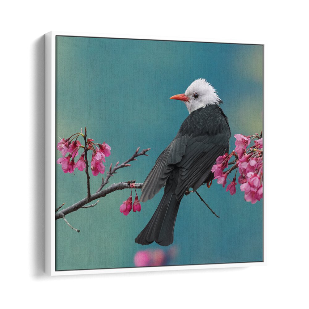 surreal painting - WHITE-HEADED BLACK BULBUL by Asianmonk