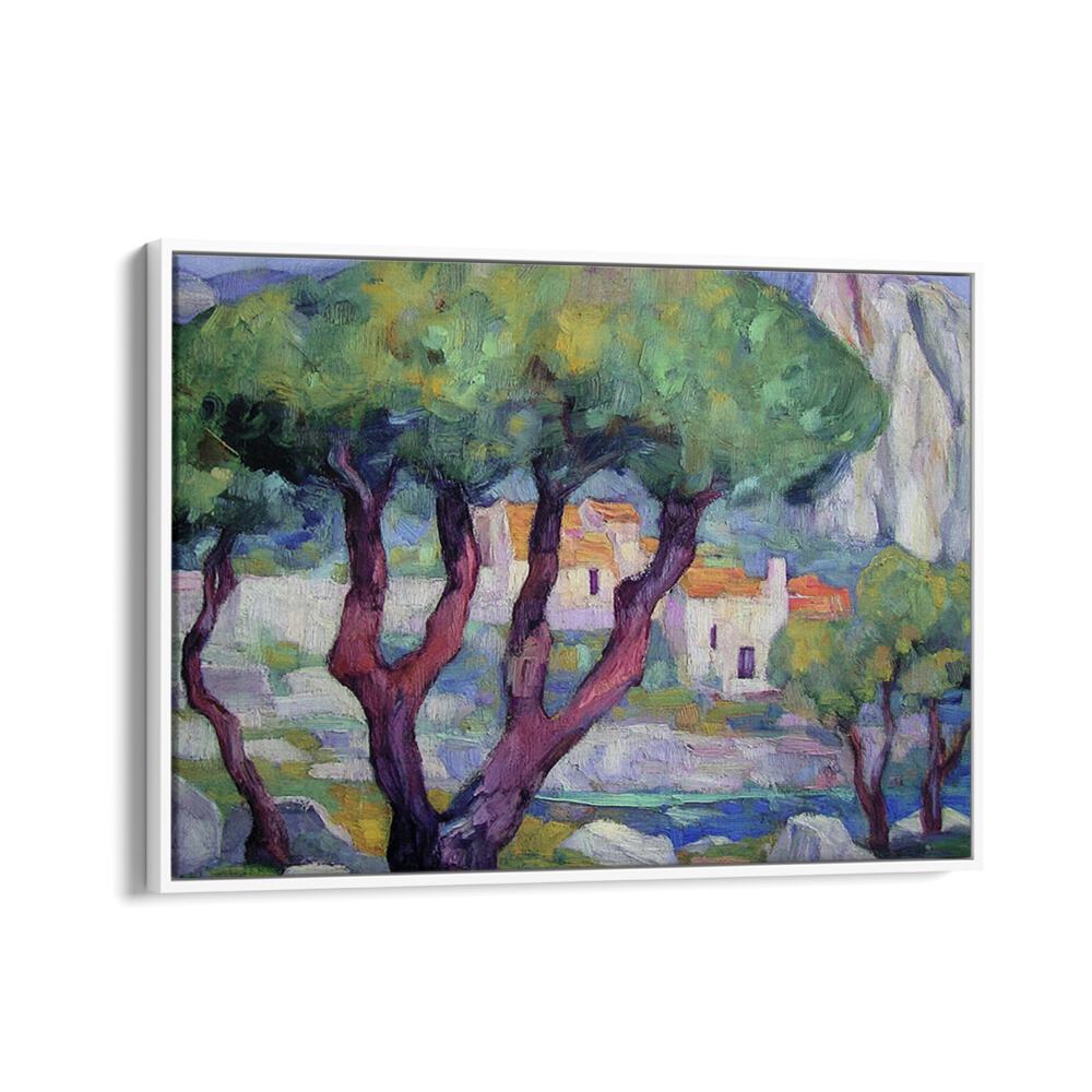 Cypress trees in the mountains create a serene landscape, showcasing nature's elegance and tranquility beautifully.
