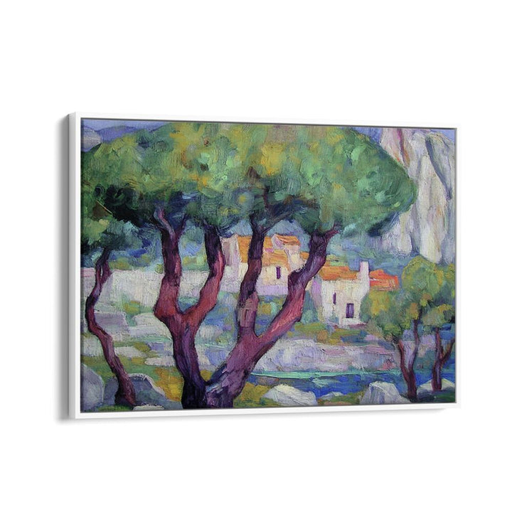 Cypress trees in the mountains create a serene landscape, showcasing nature's elegance and tranquility beautifully.