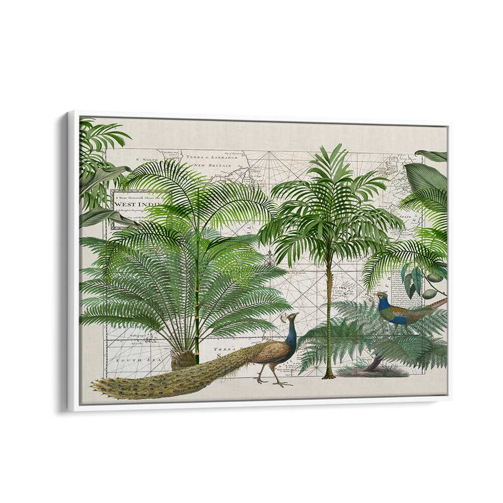 TROPICAL EMPIRE VI BY ANDREA HAASE , WILDLIFE POSTERS , WILDLIFE PAINTINGS