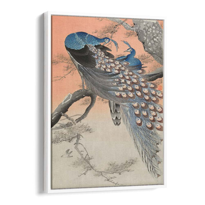 TWO PEACOCKS ON TREE BRANCH (1900 - 1930) , JAPANESE PAINTINGS , JAPANESE ART PRINTS