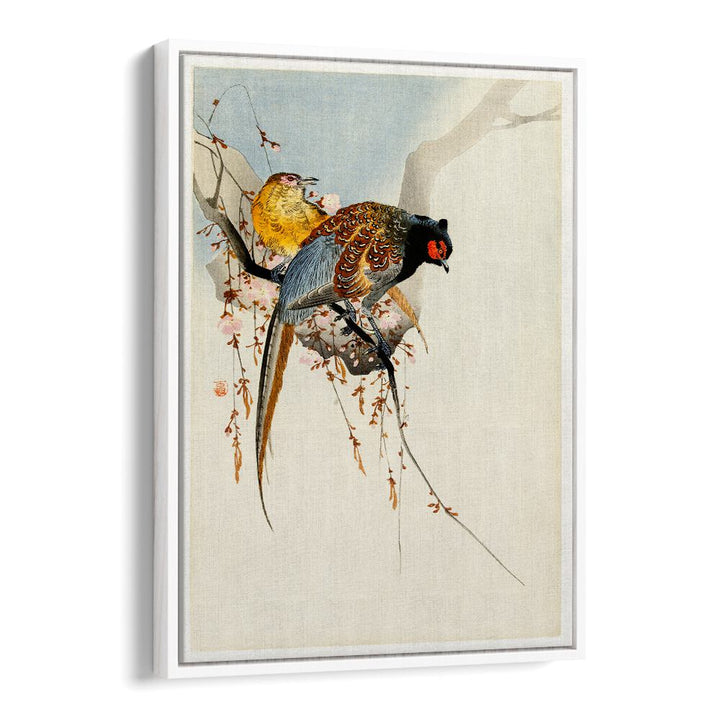 PHEASANT COUPLE AND PLUM BLOSSOM (1900 - 1930)  , JAPANESE PAINTINGS , JAPANESE ART PRINTS