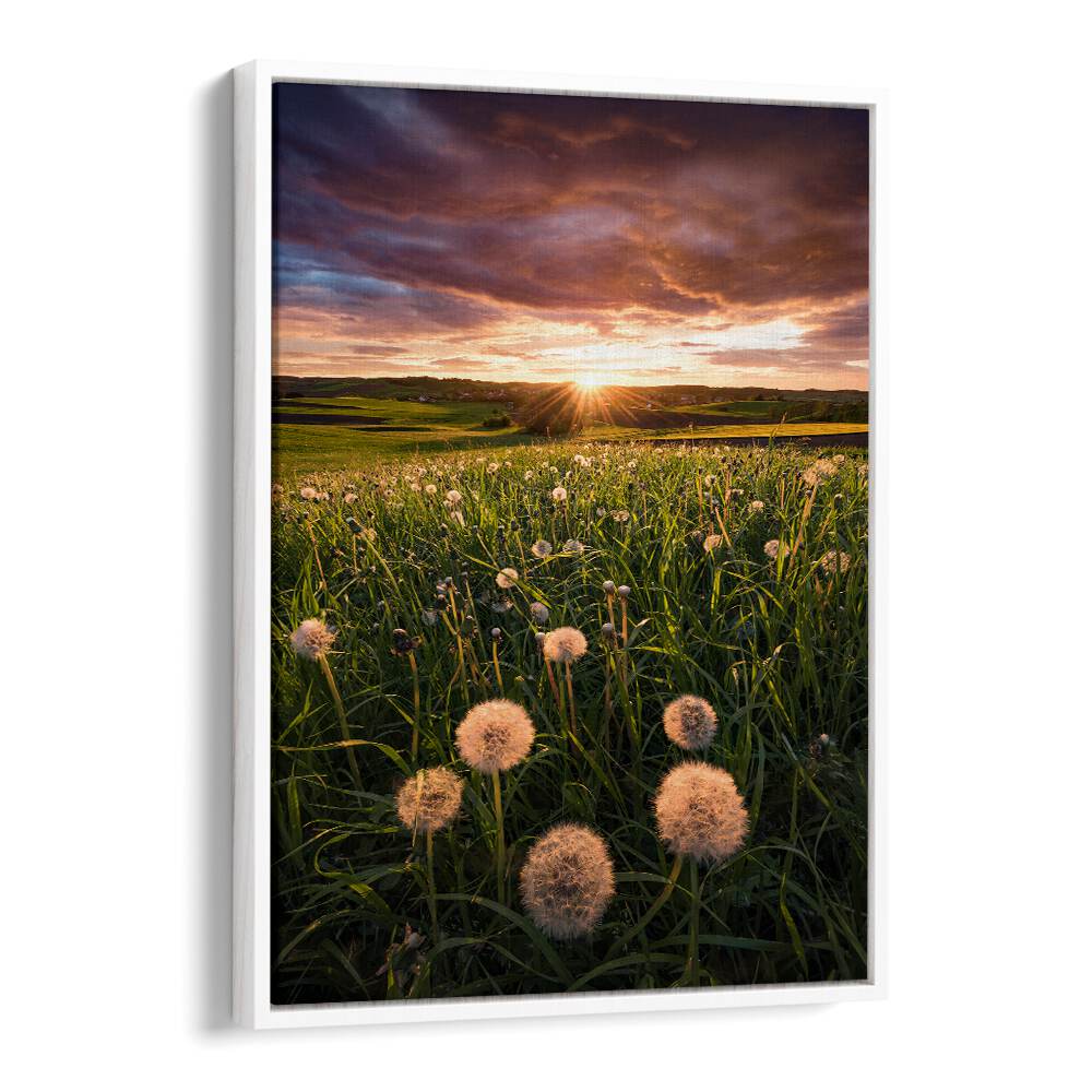 POPPY WORLD BY STEFAN HEFELE , LANDSCAPE PHOTO PRINTS