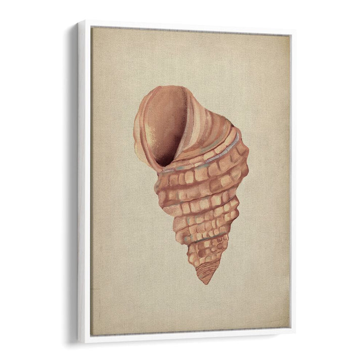 Elegant PINK SEASHELLS, BEACH PAINTINGS enhance your space, capturing ocean beauty and coastal serenity.