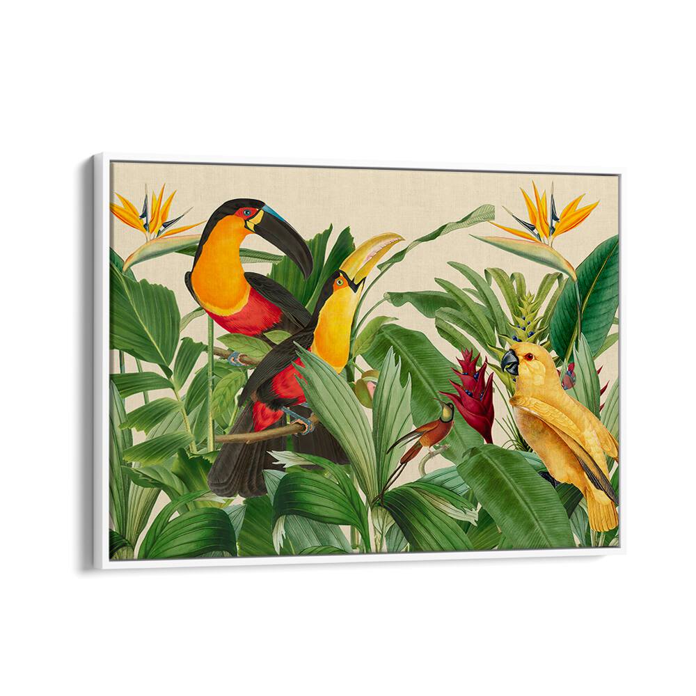 RAIN FOREST BIRD GARDEN BY ANDREA HAASE , WILDLIFE POSTERS, WILDLIFE PAINTINGS