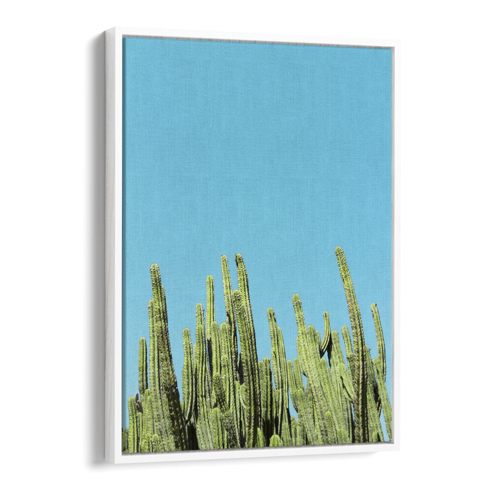 surreal painting - CACTUS REACHING FOR THE SKY by Asianmonk