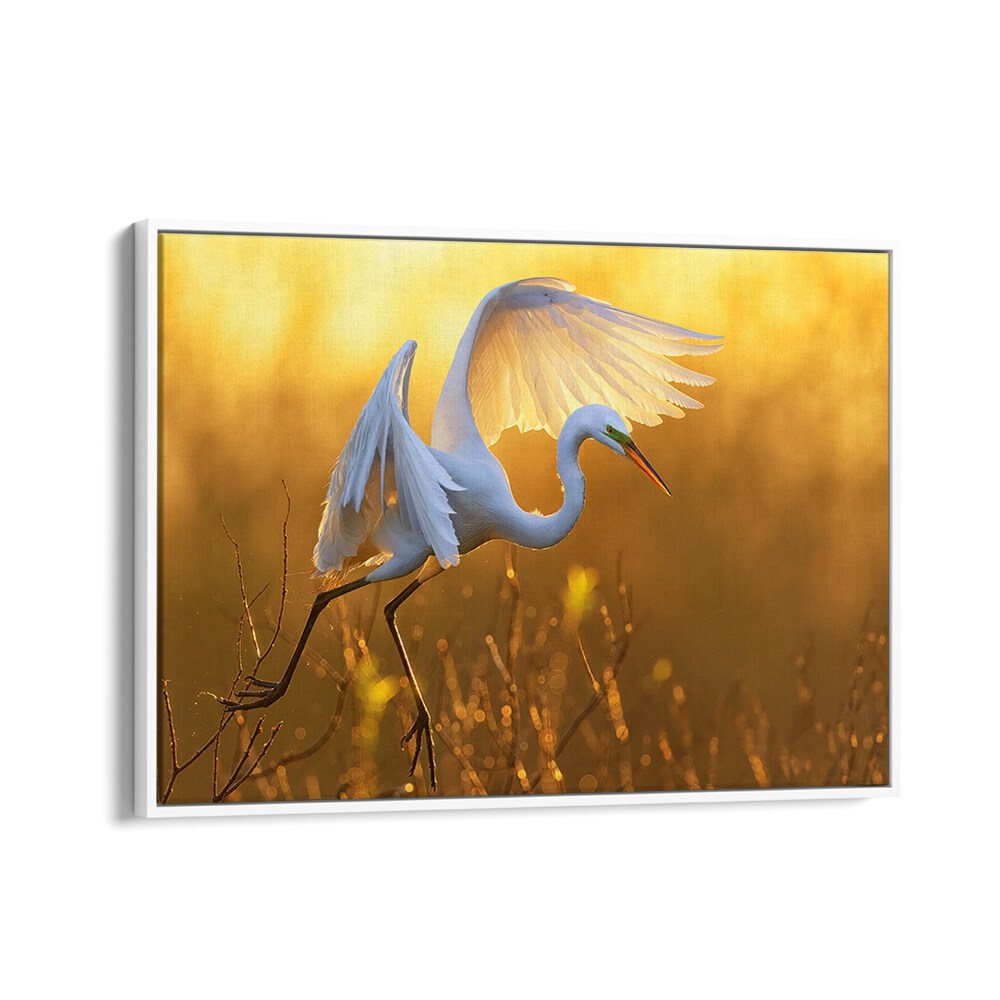 MORNING EGRET BY MICHAEL ZHENG , LANDSCAPE PHOTO PRINTS