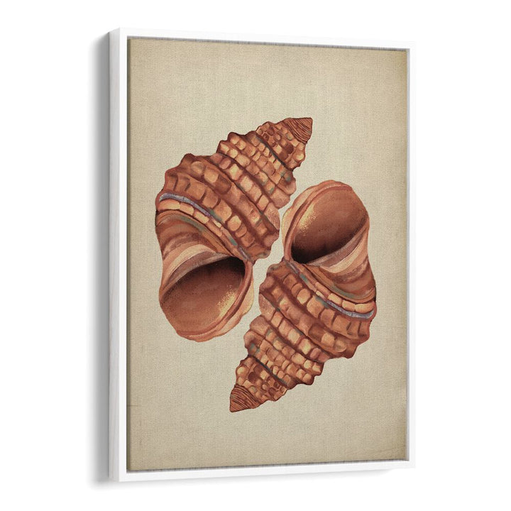 Seashell Vintage, Beach Paintings showcase elegant seashell art, perfect for coastal-inspired home décor.