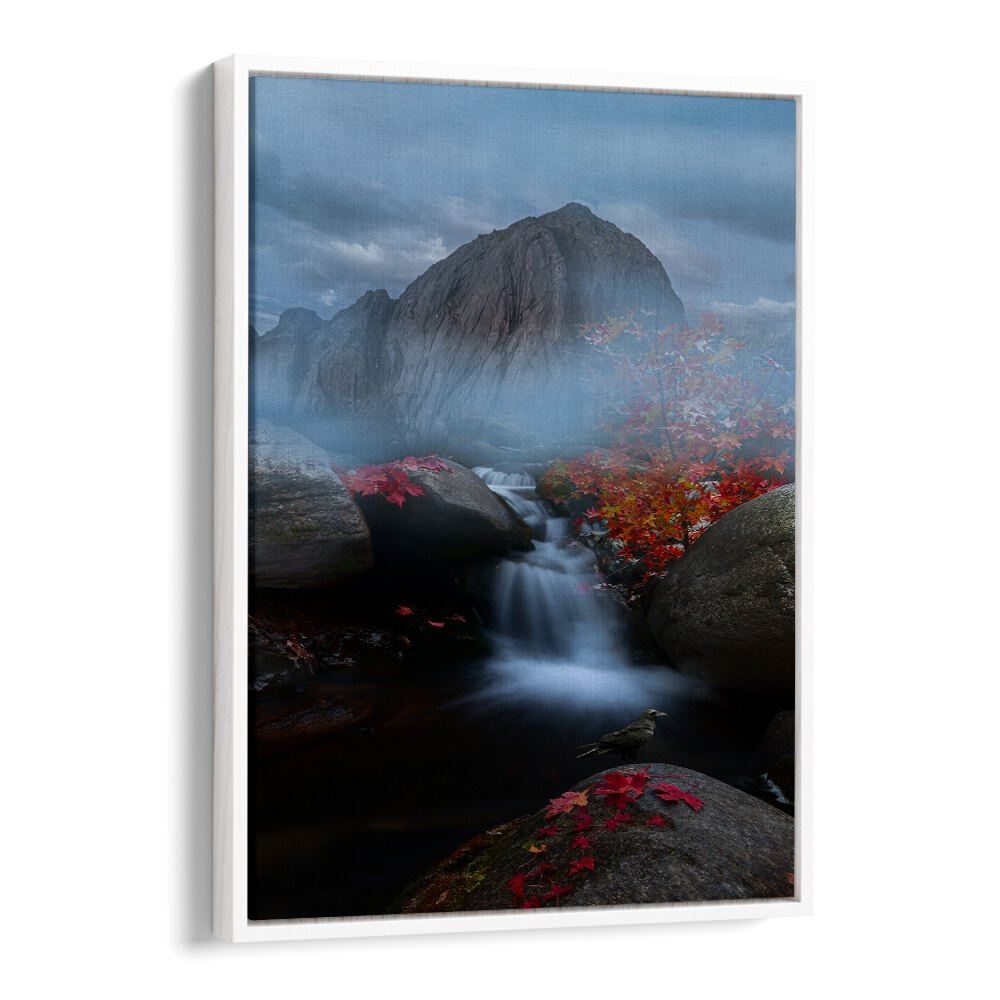 FOG HILL , LANDSCAPE PHOTO PRINTS , LANDSCAPE PHOTOGRAPHY