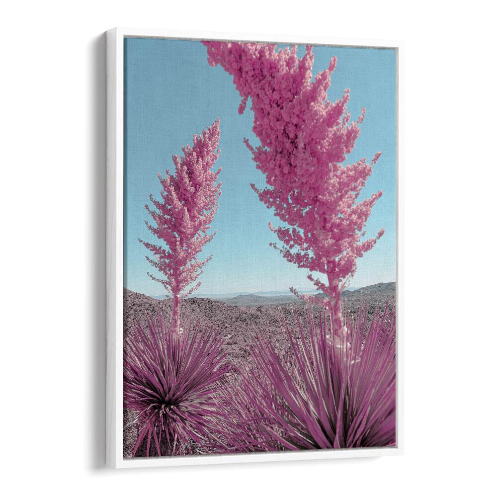 surreal painting - BLOOMING PINK YUCCAS IN THE MOJAVE DESERT by Asianmonk