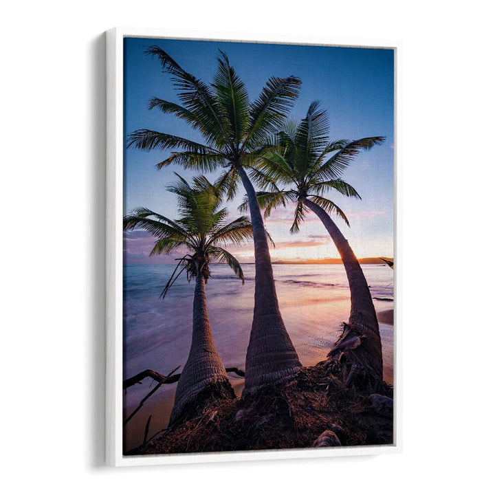 PALMY TWILIGHT , LANDSCAPE PHOTO PRINTS , LANDSCAPE PHOTOGRAPHY