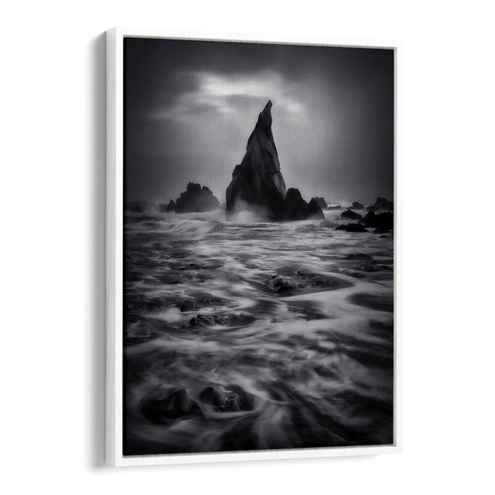 WEST COAST OF NEW ZEALAND , LANDSCAPE PHOTO PRINTS