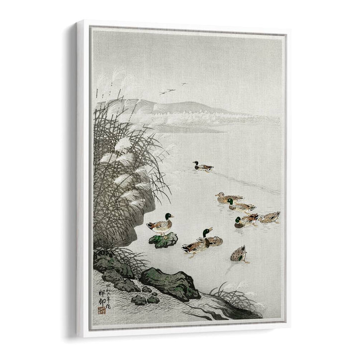 DUCKS IN THE WATER (1931)  , JAPANESE PAINTINGS , JAPANESE ART PRINTS