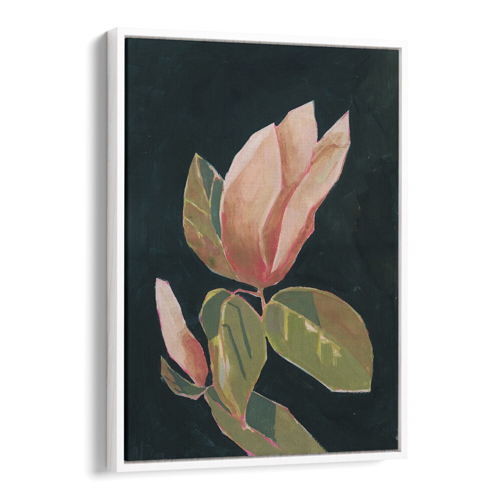 MAGNOLIA IN DARK BACKGROUND