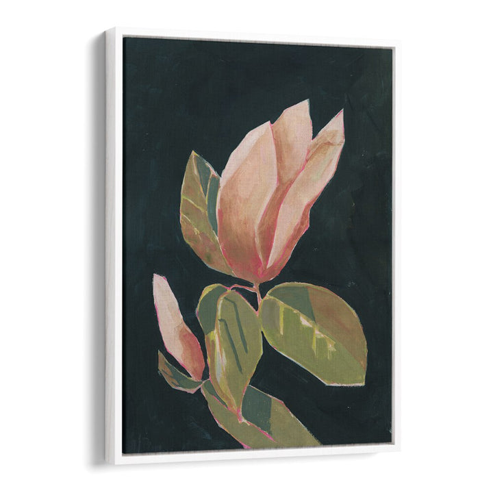 MAGNOLIA IN DARK BACKGROUND