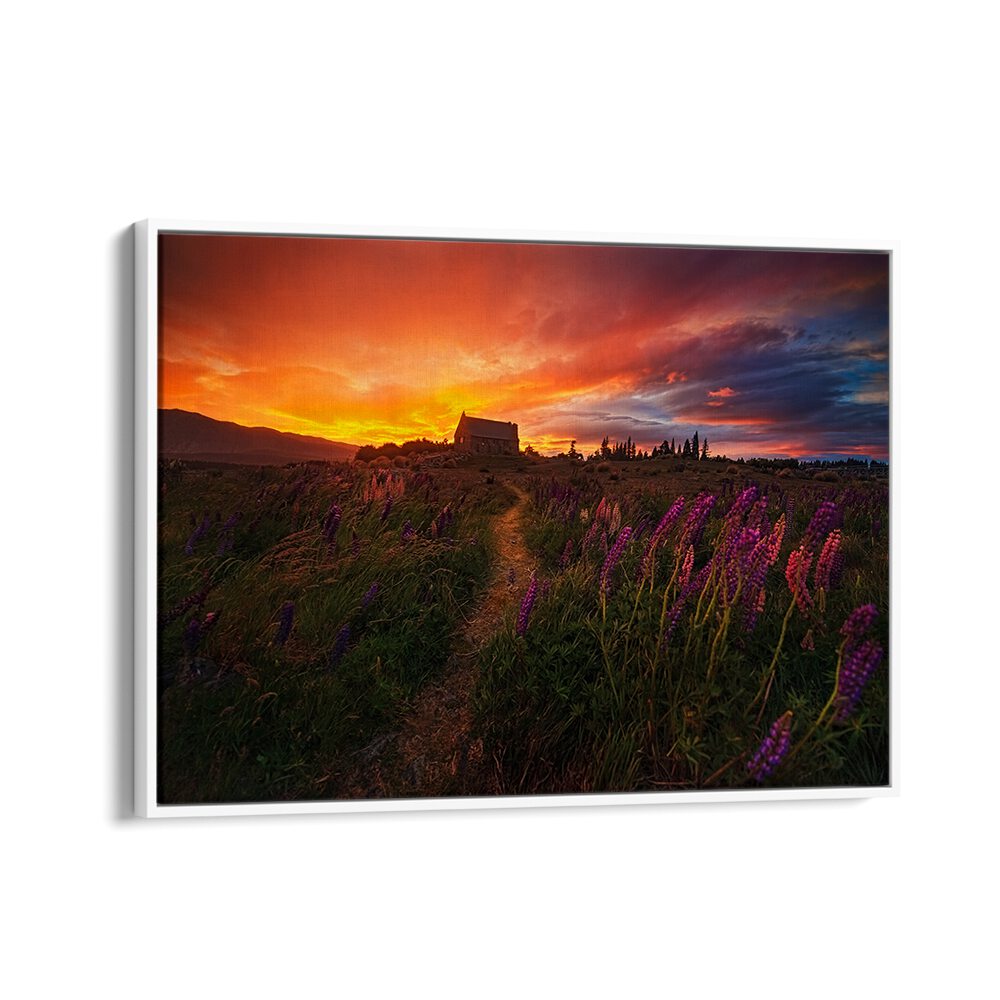 Stunning sunset landscape with vibrant flowers, perfect for your space—shop IN THE WIND, PHOTOGRAPHY PRINTS now!