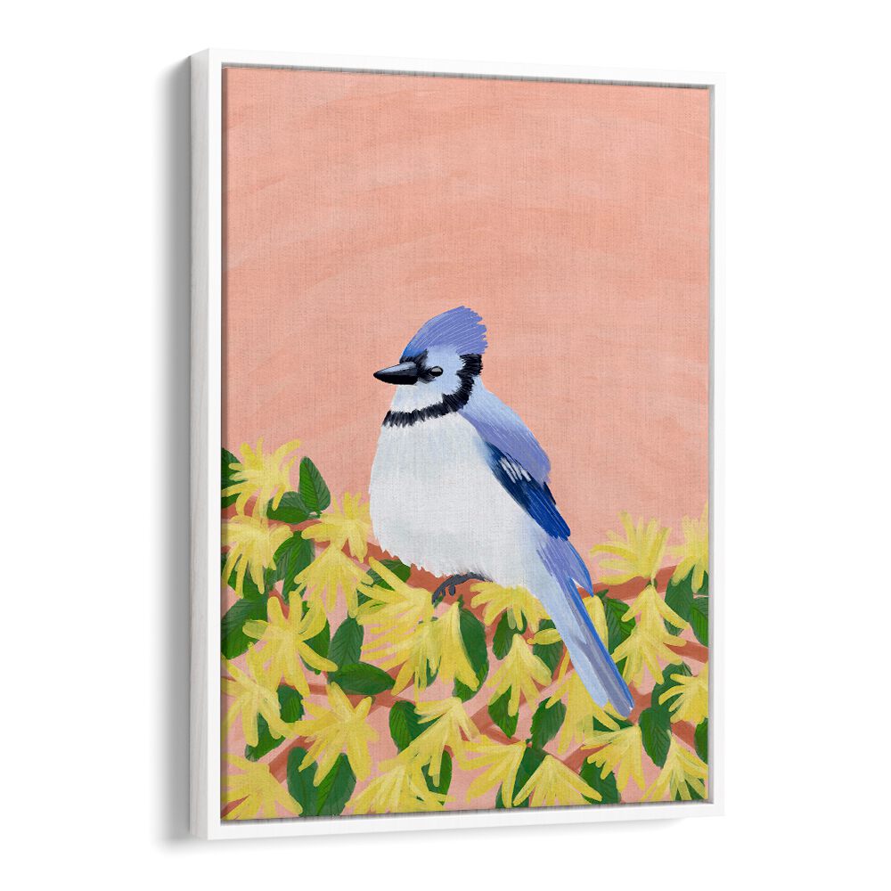 BLUE JAY BIRD , WILDLIFE PAINTINGS , WILDLIFE POSTERS