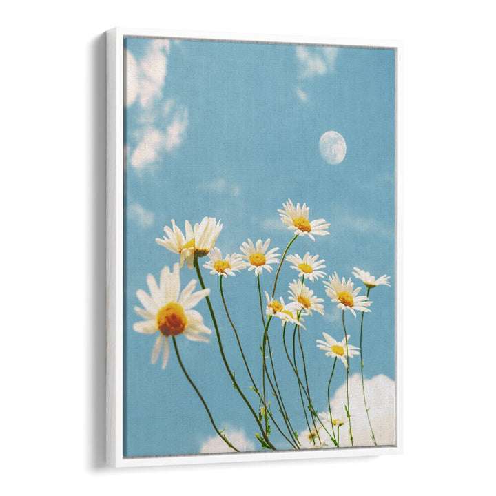 MAGICAL DAISIES BY GABOR ESTEFAN, STREET PHOTOGRAPHY ART PRINTS