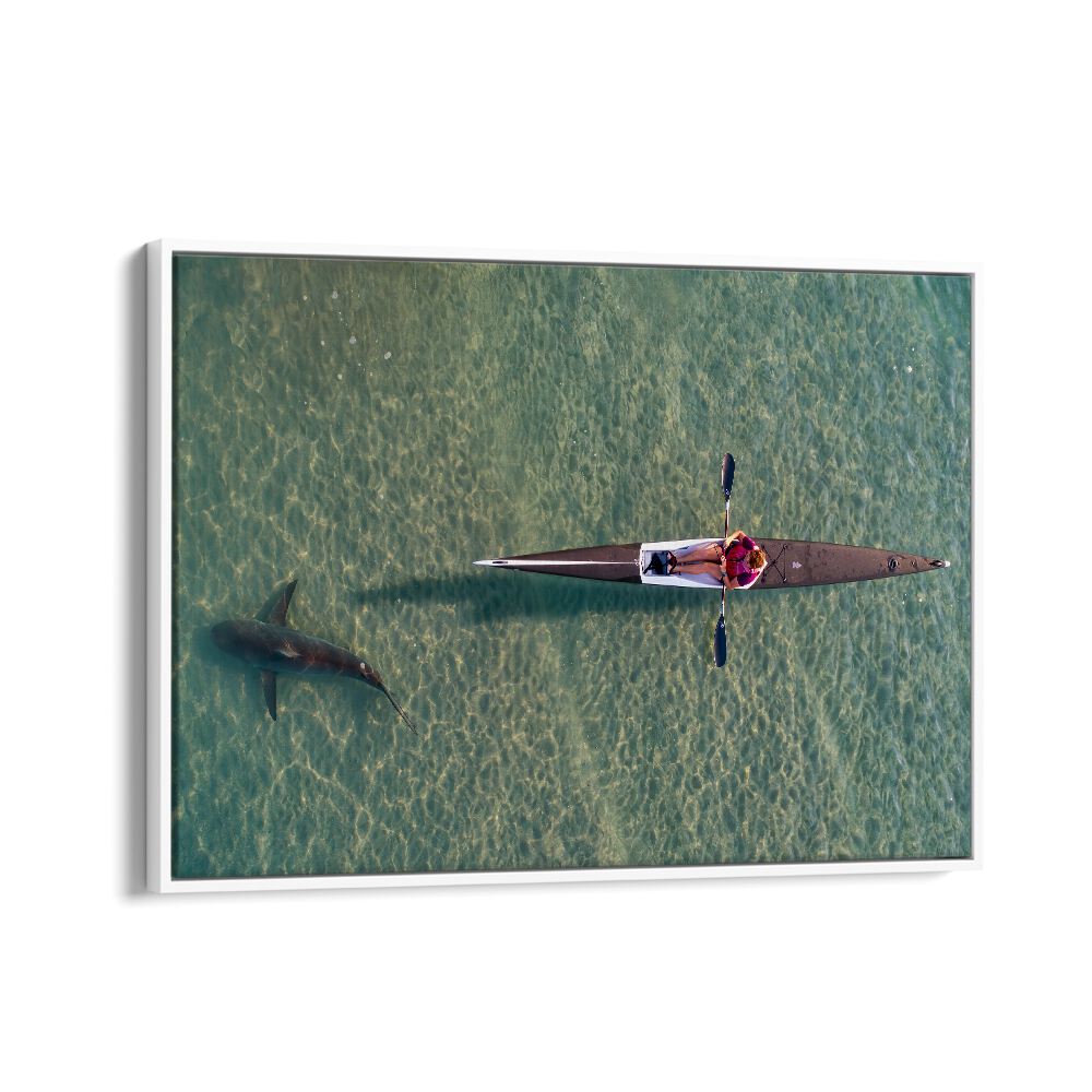 PHOTOGRAPHY painting - SHARK KAYAKING BY IDO MEIROVICH by Asianmonk