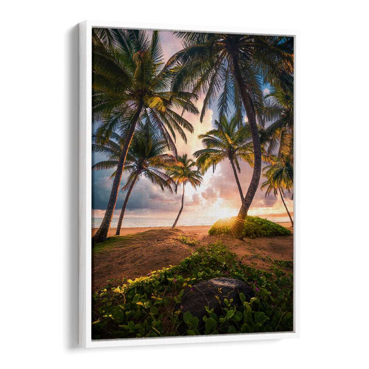 VERTICAL PARADISE , LANDSCAPE PHOTO PRINTS , LANDSCAPE PHOTOGRAPHY