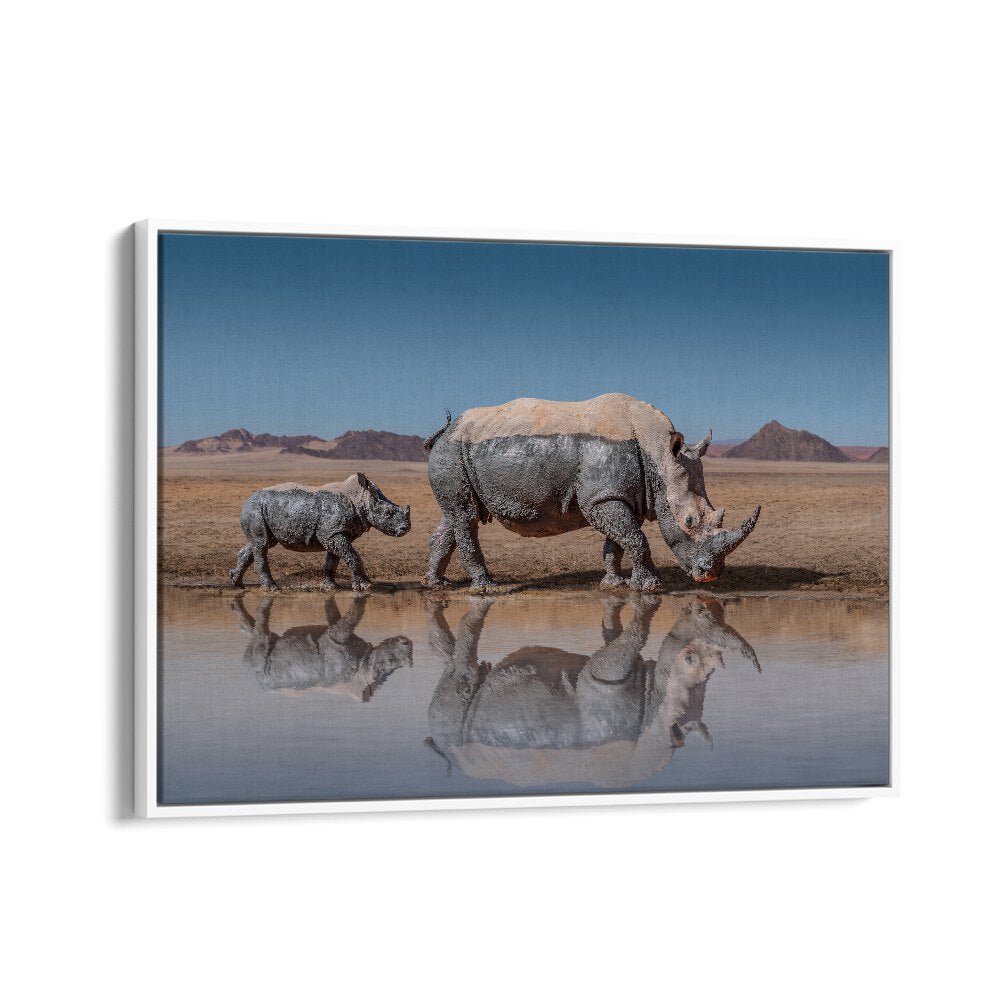 Explore majestic rhinos in stunning detail with RHINOS WALK, PHOTOGRAPHY PRINTS, perfect for nature lovers.