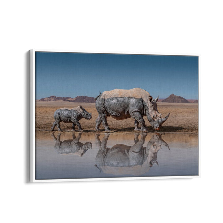 Explore majestic rhinos in stunning detail with RHINOS WALK, PHOTOGRAPHY PRINTS, perfect for nature lovers.