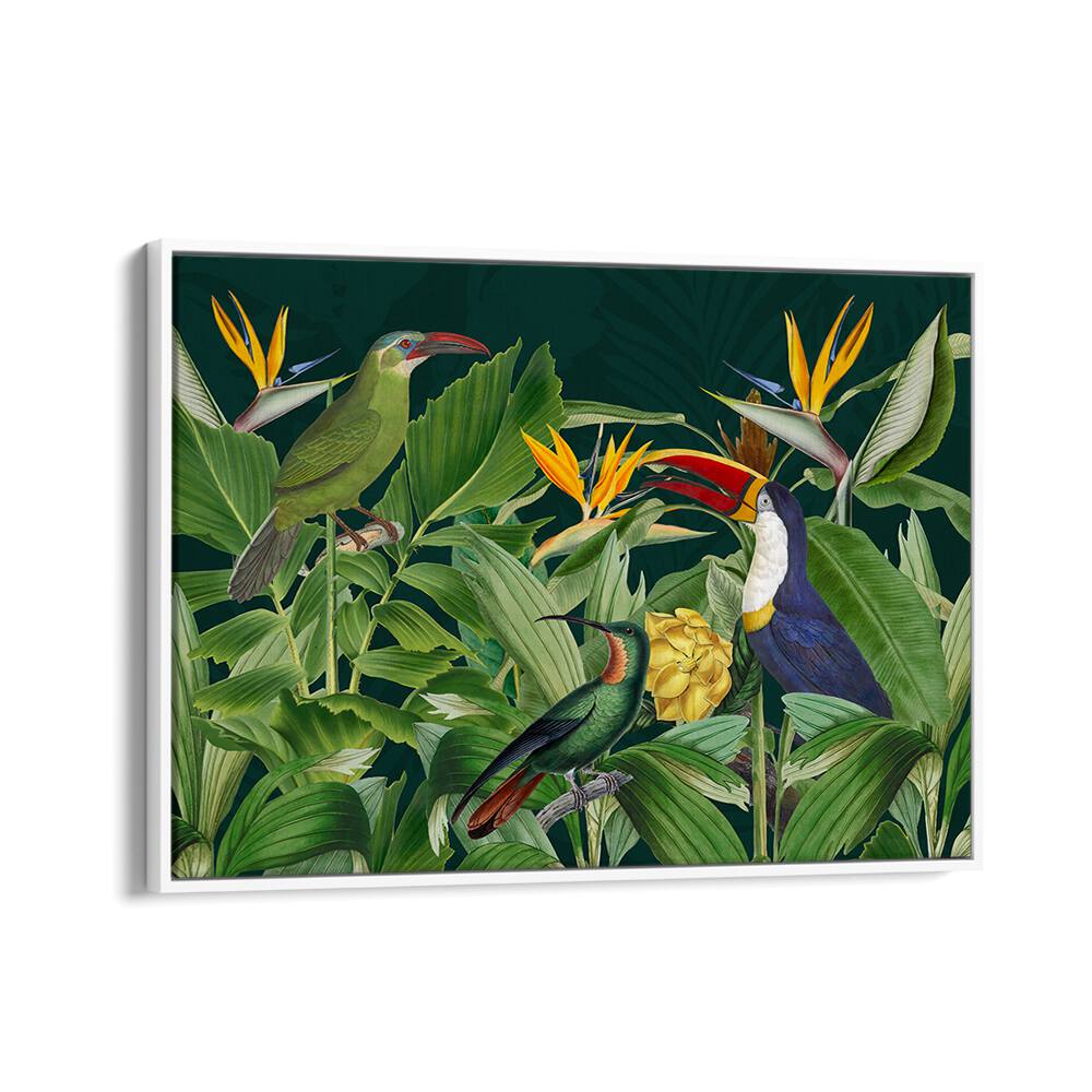 RAINFOREST BIRDS BY ANDREA HAASE , WILDLIFE POSTERS, WILDLIFE PAINTINGS